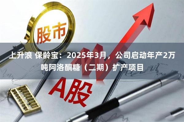 上升浪 保龄宝：2025年3月，公司启动年产2万吨阿洛酮糖（二期）扩产项目