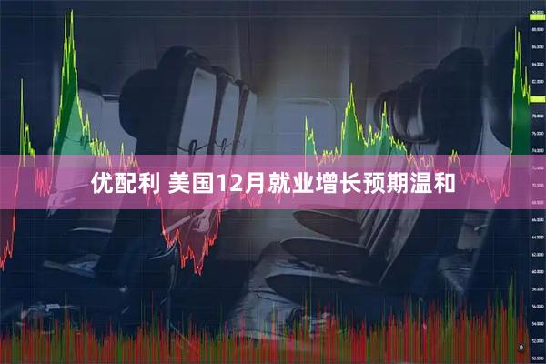 优配利 美国12月就业增长预期温和